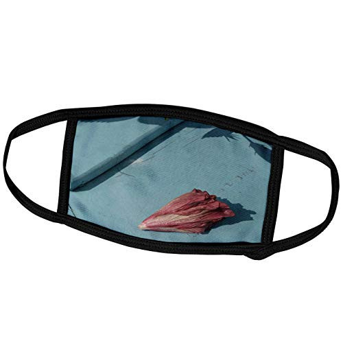 3dRose Withered Hibiscus Flower on Teal Boards - Face Covers -fc-186683-3-
