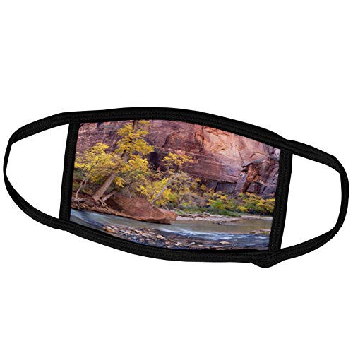 3dRose Zion National Park- Virgin River and Cottonwood Trees. - Face Covers -fc-206937-1-
