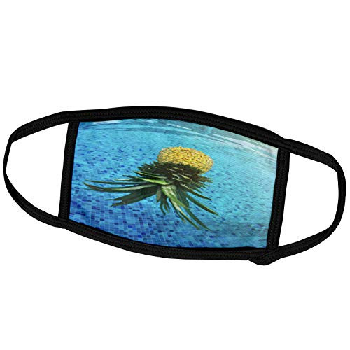 3dRose Decor II - Image of Pineapple Floating in Pool - Face Covers -fc-256136-1-