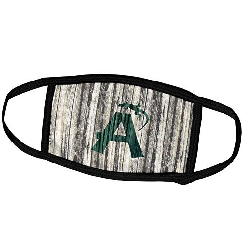 3dRose Initial Letter A- Cracked Paint Effect Monogram with Lizard. - Face Covers -fc-312094-1-