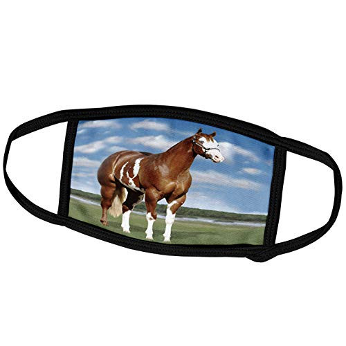 3dRose Horse - Champion Paint Quarter Horse - Face Covers -fc-3536-2-