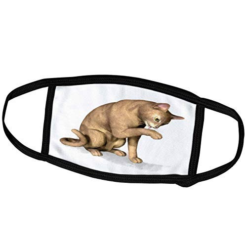 3dRose Boehm Digital Paint Animal - Cat Licking Paw - Face Covers -fc-38678-2-