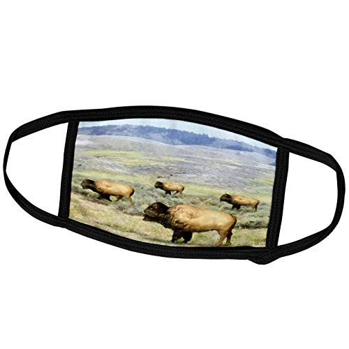 3dRose Boehm Digital Paint Animal - Buffalos Running on The Plains - Face Covers -fc-40570-2-