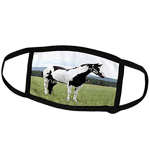 3dRose Horse - Paint Horse - Face Covers -fc-672-2-