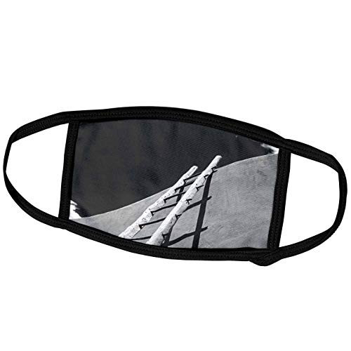 3dRose Danita Delimont - New Mexico - USA- New Mexico- Taos. Ladder on Pueblo Building. - Face Masks -fm-231234-1-