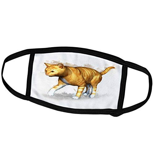 3dRose Boehm Digital Paint Animal - Red Tabby - Face Masks -fm-41474-2-