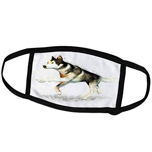 3dRose Boehm Digital Paint Animal - Malamute Running - Face Masks -fm-45113-3-