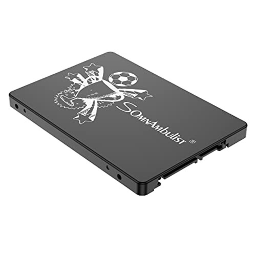 Somnambulist Laptop Desktop SSD 2.5" SATA3 120gb 240gb SSD Solid State -Black Trophy-120GB-