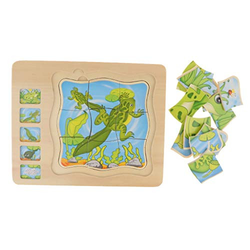 kowaku Wooden Frog Animal Block Puzzle Board Montessori Educational Matching Toy