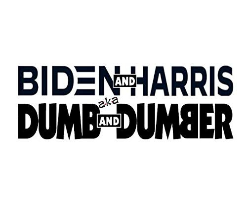 Biden Harris Dumb and Dumber Decal by Check Custom Design