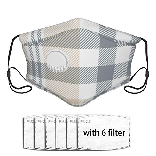 Plaid Check Tan Beige Grey Dustproof Face Mask Cloth Face Cover Washable Reusable Face Covers Activated Carbon Filter Dust Mask with A Valve with 6 Filter