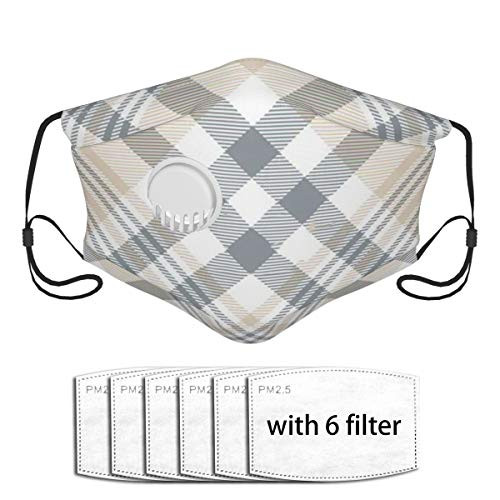 Plaid Check Beigetan Grey White Face Mask Cloth Face Cover Washable Reusable Face Covers Activated Carbon Filter Dust Mask with A Valve with 6 Filter