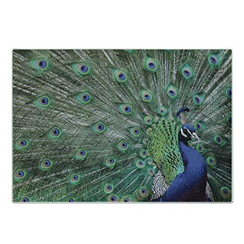Lunarable Peacock Cutting Board- Peacock Displaying Elongated Majestic Feathers Open Wings Picture- Decorative Tempered Glass Cutting and Serving Board- Small Size- Brown Navy