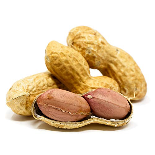 Sky - Premium USA Grown- Raw Peanuts in Shell For Squirrels- Unsalted Peanuts In The Shell- Boiled Peanuts- Jumbo Raw Peanuts in the Shell- Squirrel Peanuts in Shell Unsalted- Whole Peanuts for Squirrels- Unsalted Peanuts for Birds and Squirrels- Bul