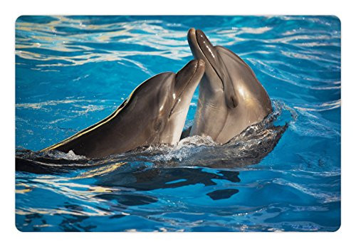 Ambesonne Dolphin Pet Mat for Food and Water- Aqua Show Pair of Dolphins Dancing in The Pool Animal Family Tenderness Love- Rectangle Non-Slip Rubber Mat for Dogs and Cats- Blue Dark Taupe Ambesonne Dolphin Pet Mat for Food and Water- Aqua Show Pair of Dolphins Dancing in The Pool Animal Family Tenderness Love- Rectangle Non-Slip Rubber Mat for Dogs and Cats- Blue Dark Taupe