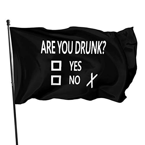 are You Drunk Check Yes Or No Flag 3 x 5 Feet UV Fade Resistant Outdoor Flags Indoor Banner Breeze Garden Flags