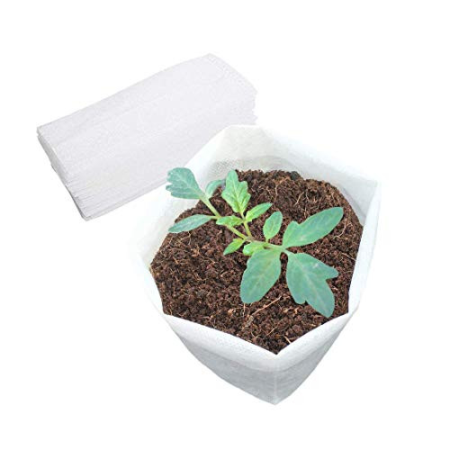 Belit Large Non-Woven Plant Nursery Bags- 25 Pcs Grow Bags Seedling Pots Container for Tree-Vegetable- Flower- Plant Grow -13.2"x15"-