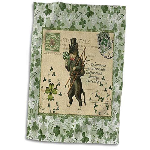 3dRose Image of Cat in Top Hat with Ladder- Shamrock- Postcard Style- Green - Towels -twl-336164-1- 3dRose Image of Cat in Top Hat with Ladder- Shamrock- Postcard Style- Green - Towels -twl-336164-1-