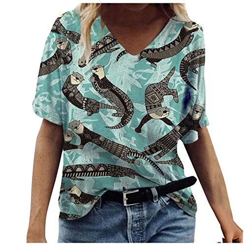 Womens Short Sleeve Tops Floral Shirts V-Neck Tshirts Blouse Summer Casual T-Shirts Graphic Tee Trendy