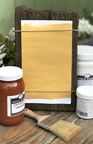 Sinopia All Natural Artisanal Milk Paint Roman Yellow -16oz.-