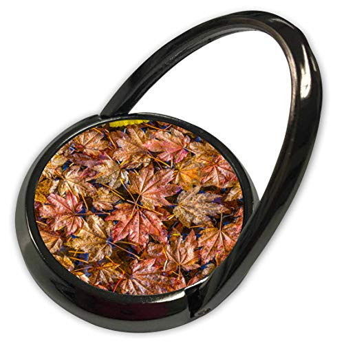 3dRose USA- WA- Olympic NP. Fall Vine Maple Leaves Floating in Pool. - Phone Rings -phr-332337-1-