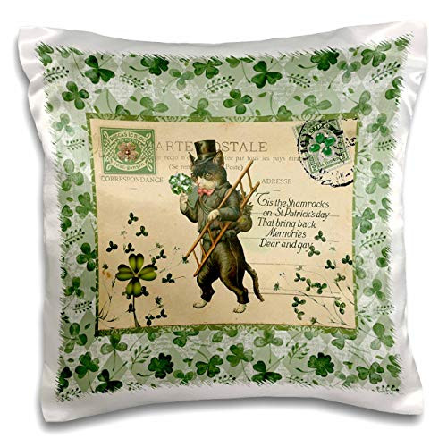 3dRose Image of Cat in Top Hat with Ladder- Shamrock- Postcard Style. - Pillow Cases -pc-336164-1- 3dRose Image of Cat in Top Hat with Ladder- Shamrock- Postcard Style. - Pillow Cases -pc-336164-1-