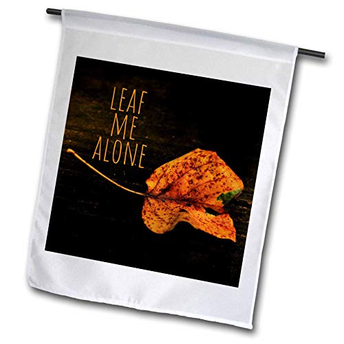 3dRose Stamp City - Typography - Photograph of a Single Autumn Leaf on a Boardwalk. Leaf me Alone. - 12 x 18 inch Garden Flag -fl-309933-1-