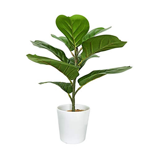 BESAMENATURE Artificial Fiddle Leaf Fig Tree/Faux Ficus Lyrata for Home Office Decoration- 16" Tall- Ships in White Ceramic Planter