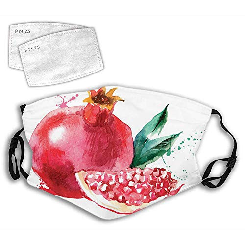Women Men Boys Girls Dustproof-Pomegranate Hand Drawn Watercolor Style Paint Yummy Juicy Winter Taste Art-Half Face Mouth Mask Breathable Mouth Muffle For-Travel-Outdoor Women Men Boys Girls Dustproof-Pomegranate Hand Drawn Watercolor Style Paint Yummy Juicy Winter Taste Art-Half Face Mouth Mask Breathable Mouth Muffle For-Travel-Outdoor