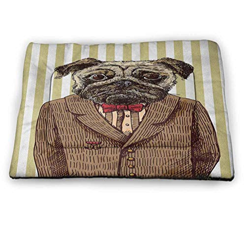 Pug Pet Placemat Hand Drawn Sketch of Smart Dressed Dog Jacket Shirt Bow Suit Striped Background pet Bed for Crate Brown Pale Brown 18"x12"