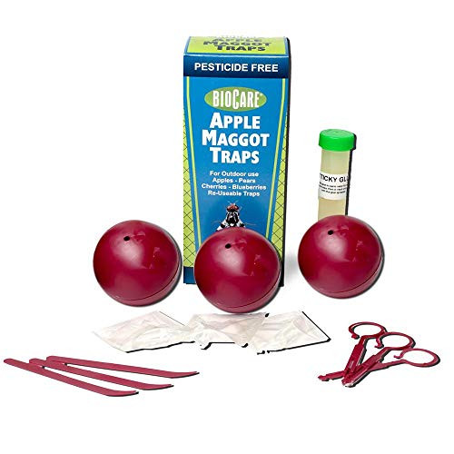 BioCare Reusable Outdoor Apple Maggot Traps with Lures, Nontoxic and Pesticide-Free, Made in USA, 3 Count