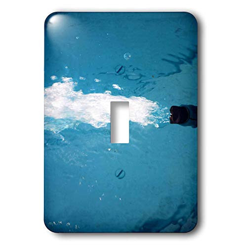 3dRose lens Art by Florene - Water Art - Image of Hose Water Filling Cape Coral Florida Pool - single toggle switch -lsp-308276-1-