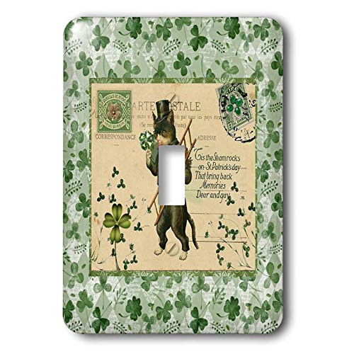 3dRose Image of Cat in Top Hat with Ladder- Shamrock- Postcard. - Light Switch Covers -lsp-336164-1- 3dRose Image of Cat in Top Hat with Ladder- Shamrock- Postcard. - Light Switch Covers -lsp-336164-1-