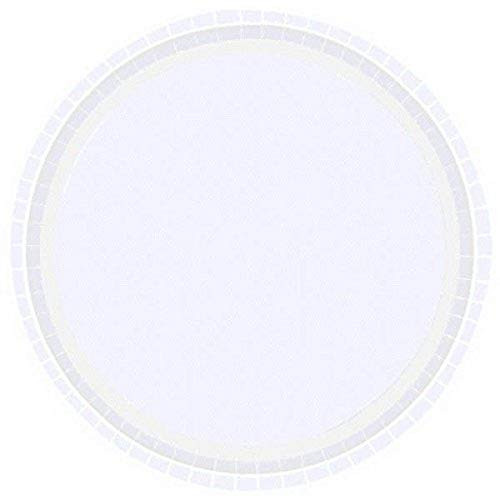 Amscan Disposable Value Solid Tableware Frosty White Round Plates- 9"