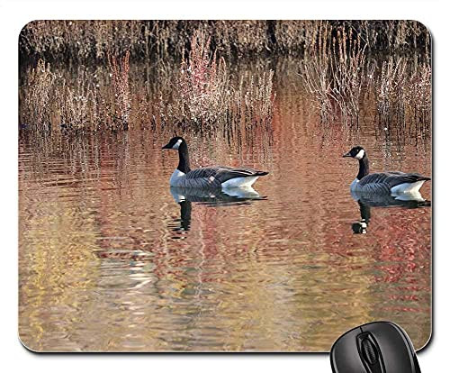 25X30cm Mouse Pad Bird Water Lake Pool Reflection