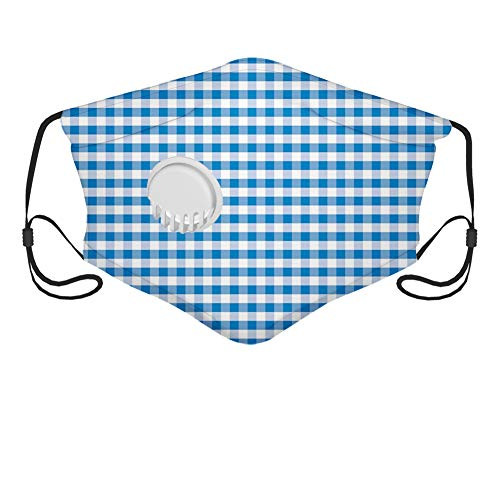 Windproof Activated Carbon msak-Monochrome Gingham Checks Classical Country Culture Old Fashioned Grid Design-Facial decorations for Child