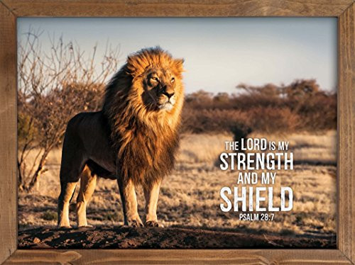 P. GRAHAM DUNN Lord My Strength Shield Lion 16 x 12 Inch Pine Wood Framed Wall Art Plaque