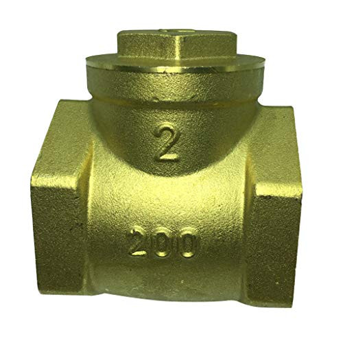 DN50 Brass Non Return Valve- Check Valve for Water Oil Air