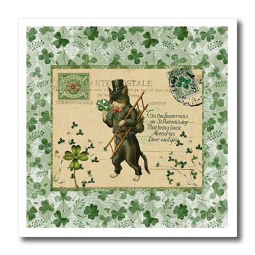 3dRose Image of Cat in Top Hat with Ladder- Shamrock. - Iron on Heat Transfers -ht-336164-3- 3dRose Image of Cat in Top Hat with Ladder- Shamrock. - Iron on Heat Transfers -ht-336164-3-