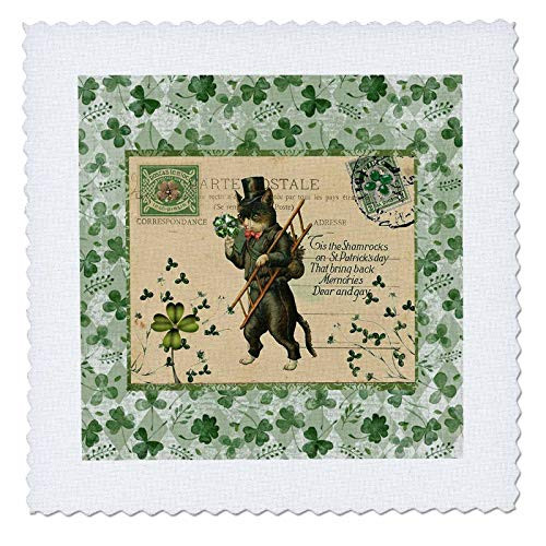 3dRose Image of Cat in Top Hat with Ladder- Shamrock- Postcard Style. - Quilt Squares -qs-336164-5- 3dRose Image of Cat in Top Hat with Ladder- Shamrock- Postcard Style. - Quilt Squares -qs-336164-5-