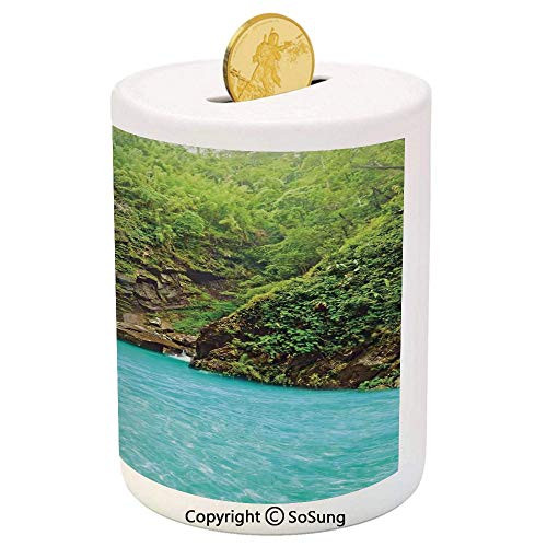 SoSung Natural Waterfall Decor Ceramic Piggy Bank-Fall Water from Mountain Clear Pool Tropical Plants 3D Printed Ceramic Coin Bank Money Box for Kids  and  Adults- SoSung Natural Waterfall Decor Ceramic Piggy Bank-Fall Water from Mountain Clear Pool Tropical Plants 3D Printed Ceramic Coin Bank Money Box for Kids  and  Adults-