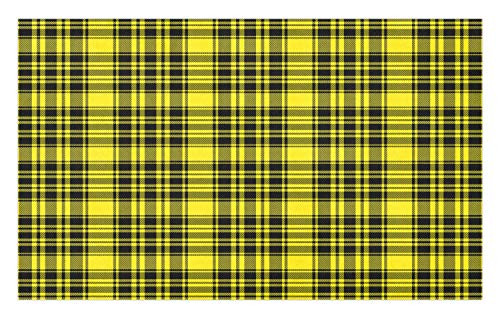 Lunarable Yellow Buffalo Check Doormat- Tartan Pattern Formed with Horizontal and Vertical Stripes- Decorative Polyester Floor Mat with Non-Skid Backing- 30" X 18"- Yellow Charcoal Grey