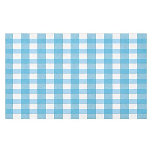 Ambesonne Gird Doormat- Gingham Check Themed Symmetric Squares Repetitive Monochrome Plaid Geometric- Decorative Polyester Floor Mat with Non-Skid Backing- 30" X 18"- Deep Sky Blue White