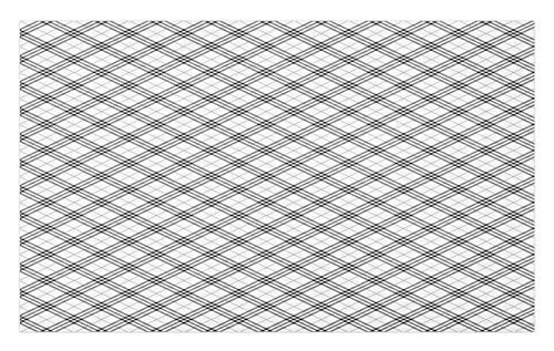 Ambesonne Plaid Doormat- Monochromatic Diagonal Pattern with Checks and Stripes Dashed Lines Celtic Classic- Decorative Polyester Floor Mat with Non-Skid Backing- 30" X 18"- Black White