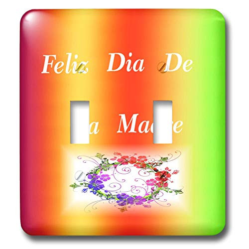 3dRose Image of Bright Green Blue Paint Splatter With Spanish. - Light Switch Covers -lsp-346177-2-