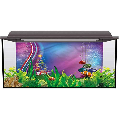 bybyhome Underwater Backdrop Image Decor Christmas-Party Celebration Box Photography Background Undersea Backdrop L24 X H12 Inch