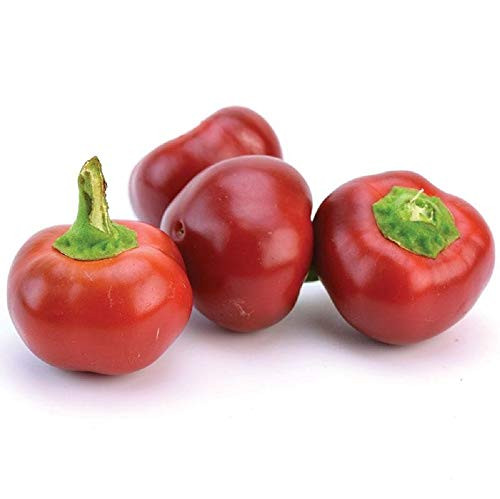 Large Red Cherry Pepper Seeds- 25 Count "COOL BEANS N SPROUTS" Brand. Heirloom. Non-GMO. Home Gardening.