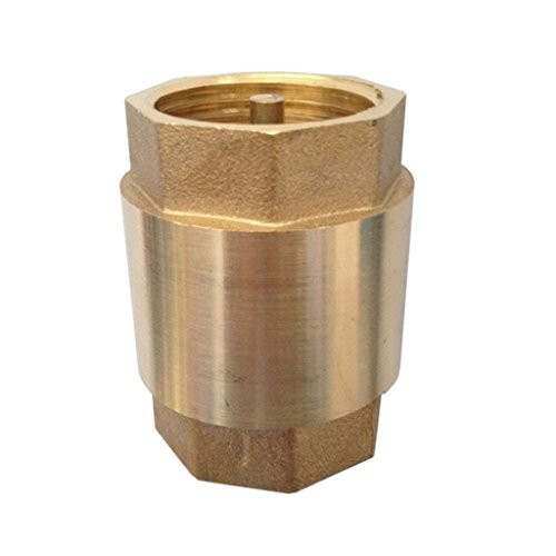 DYNWAVE Female Threaded Air Gas Water Non-Return One Way Check Valve 2 ''