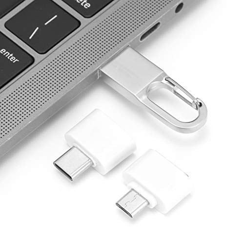 Mini U Disk with Hanging Buckle-Portable USB2.0 Flash Pen Drive Memory Cell USB Stick Gift HS132 with OTG Adapter- Plug and Play  and  Additional for Mobile Devices-1G-