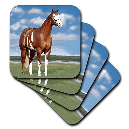 3dRose CST-3536-2 Champion Paint Quarter Horse Soft Coasters -Set of 8- 3dRose CST-3536-2 Champion Paint Quarter Horse Soft Coasters -Set of 8-